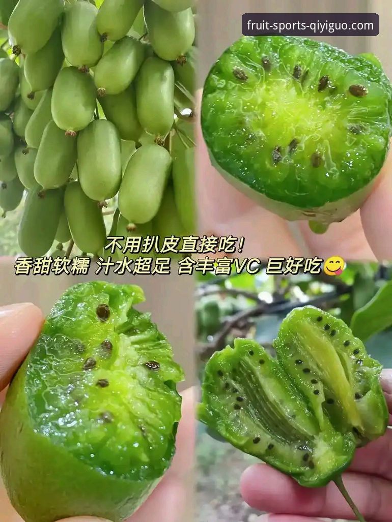 奇异果体育平台实时资讯功能使用教程：从入门到精通